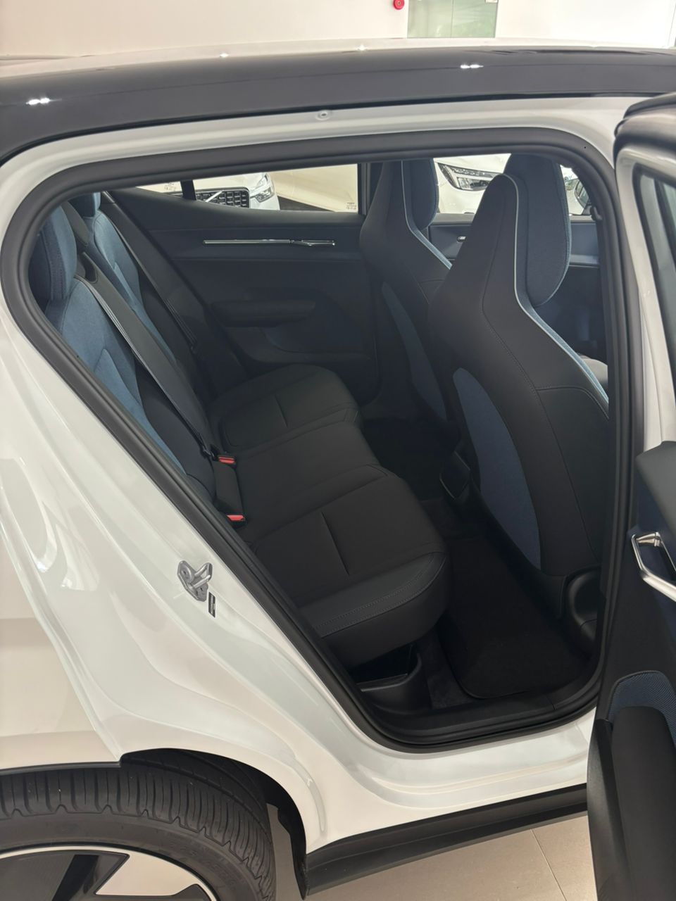 Volvo  Ultra, Twin Motor Performance, Electric