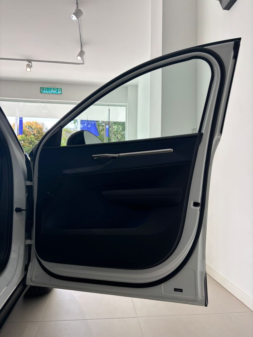 Volvo  Ultra, Twin Motor Performance, Electric